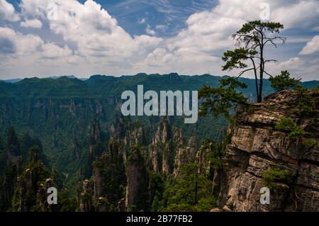 Blick in die Scenic and Historic Interest Area von Wulingyuan in der Provinz Hunan, China. Die Gegend war angeblich eine Inspiration für die Landschaft im Avatar-Film. Stockfoto