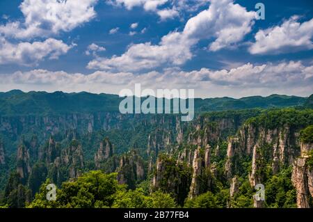 Blick in die Scenic and Historic Interest Area von Wulingyuan in der Provinz Hunan, China. Die Gegend war angeblich eine Inspiration für die Landschaft im Avatar-Film. Stockfoto