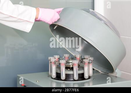 Der Arzt arbeitet mit der Blutzentrifugenmaschine in der medizinischen Klinik. Stockfoto