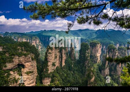 Blick auf Huangshizhai im Nationalpark am Landschaftspark Wulingyuan gelegen angeblich eine Inspiration für die Landschaft in James Cameron's Avatar. Der Provinz Hunan, China. Stockfoto