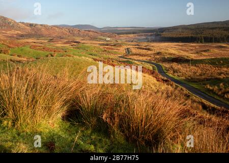 Wandern Sie im Cairnsmore des Fleet National Nature Reserve, und schauen Sie zum Big Water of Fleet Viaduct, Galloway, Schottland, Großbritannien Stockfoto