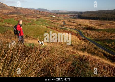 Wandern im Cairnsmore des Fleet National Nature Reserve entlang der Clints von Dromore, Galloway, Schottland, Großbritannien Stockfoto