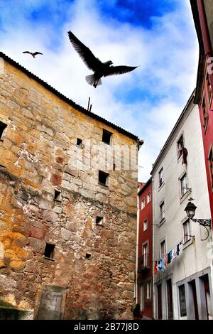 Schöne und alte bunte Fassaden in der Stadt Porto im Januar Stockfoto