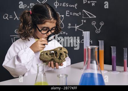 Kleine Wissenschaftlerin mit Brille im Laborkittel mit Chemiekolben untersucht einen Dinosaurierschädel mit ihrer Lupe, zurück zur Schule und erfolgreich Stockfoto