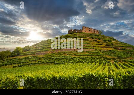 Fantastischer Blick auf die alte Burgruine in Staufen im Breisgau-Gebiet vor einem dramatischen Himmel Stockfoto