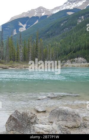 Kleiner Wasserfall in einem Wald, Mount Revelstoke National Park bij Revelstoke. Stockfoto