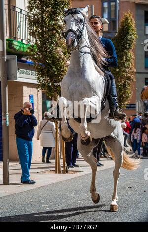 Reus, Spanien. März 2018: Pferde segnen im St. Antonius-Tag. Stockfoto