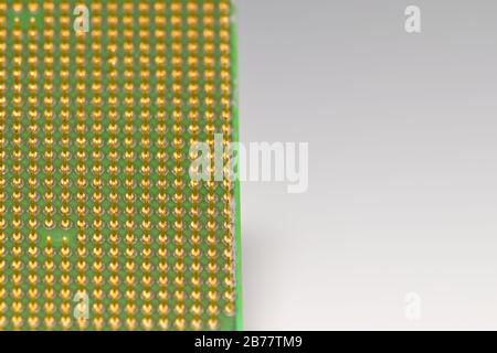 Zentrale Prozessoreinheit - CPU. Goldene Stifte. Kopierbereich auf der rechten Seite. Stockfoto