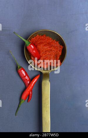 Rote Thai-Curry-Paste in Messingpfanne und Chili Paprika, Deutschland Stockfoto