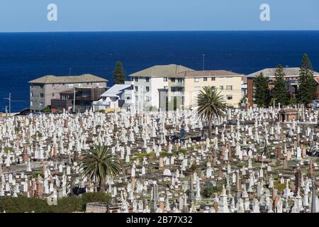 Die Waverley Cemetry ist eine unter Denkmalschutz stehende Cemetrie auf den Klippen in Bronte in den östlichen Vororten von Sydney, NSW, Australien. Die Küstenwanderung wa Stockfoto