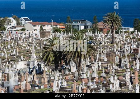 Die Waverley Cemetry ist eine unter Denkmalschutz stehende Cemetrie auf den Klippen in Bronte in den östlichen Vororten von Sydney, NSW, Australien. Die Küstenwanderung wa Stockfoto