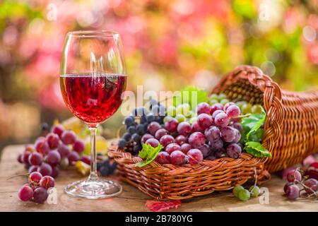 Herbst noch Leben mit Reifen verschiedenen Rebsorten Wein und Glas. Hinter den schönen Herbst. Stockfoto