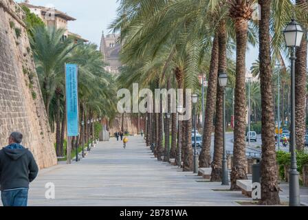 Palma de Mallorca auf den Balearen Stockfoto
