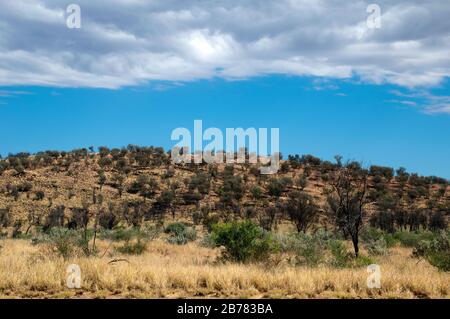 Alice Springs Australien, Blick von der Straße mit generischer Outback-Vegetation mit Wolken am Himmel Stockfoto