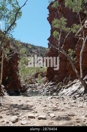 Alice Springs Australien, Blick auf das Wasserloch entlang des Serpentine Gorge Walk Stockfoto