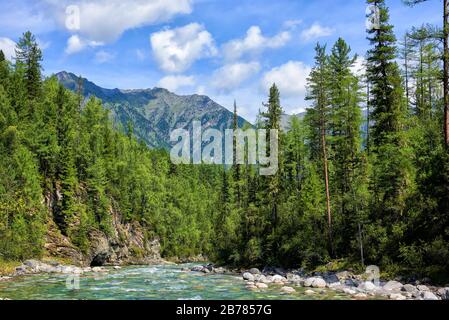 Borealwald und flacher Gebirgsbach. Sommerlandschaft in Ostsibirien. Sayan Mountains. Burjatia. Russland Stockfoto