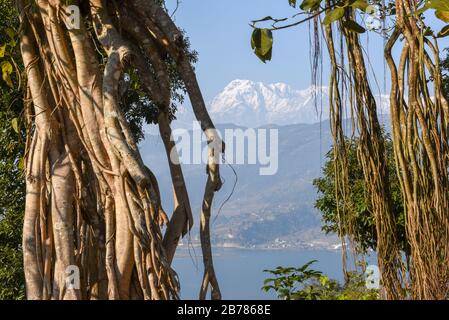 Arial Blick auf Pokhara Stadt, den See Phewa und die Himalaya-Range in Nepal Stockfoto