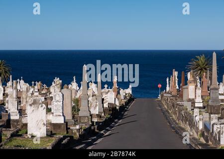 Die Waverley Cemetry ist eine unter Denkmalschutz stehende Cemetrie auf den Klippen in Bronte in den östlichen Vororten von Sydney, NSW, Australien. Die Küstenwanderung wa Stockfoto