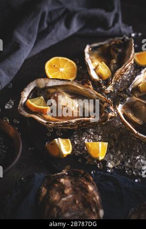 Frische Austern mit Zitrone auf dunklem Hintergrund. Gesundes Meeresfrüchte-Konzept Stockfoto