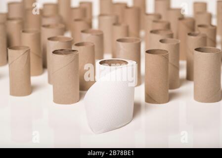 Wenn das Toilettenpapier ausgeht. Öffentliche Reaktion auf den Ausbruch des Corona-Virus / Sanktionen, Panik beim Kauf von Toilettenpapier. Fast leer. Die letzte Rolle. Stockfoto