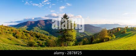 Bergige Landschaft im Frühling bei Sonnenuntergang. Bäume auf den sanften Hügeln. kante in der Ferne im Abendlicht. Wolken am Himmel. Schöne rura Stockfoto