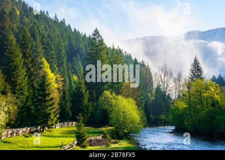 Bergfluss bei nebelhaftem Sonnenaufgang. Fantastische Natur mit Nebel, der in frischer grüner Laube am Ufer in der Ferne über die Bäume rollt. Wunderschönes Co Stockfoto
