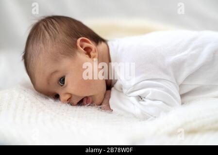 Ein 3-wöchiges altes kaukasisches Baby lächelt, während er sich auf ein flauschiges Daunenbett auf ein Bett legt Stockfoto