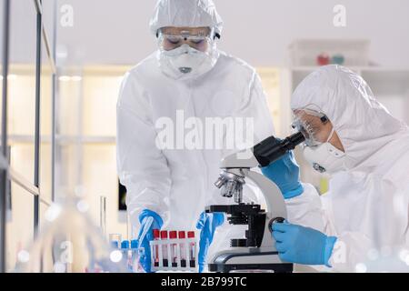 Junge Wissenschaftlerin in schützender Arbeitskleidung, die im Mikroskop aussieht, während sie mit Kollegen im medizinischen Labor neue Viren untersucht Stockfoto