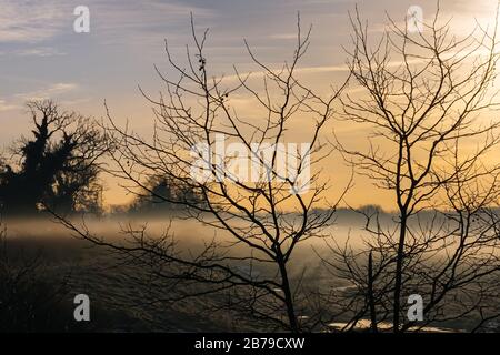 Silhouette von Bäumen und Ästen am Wintermorgen mit mysteriösem und spottigem Nebel in den Hintergrundfeldern bei Sonnenaufgang Stockfoto