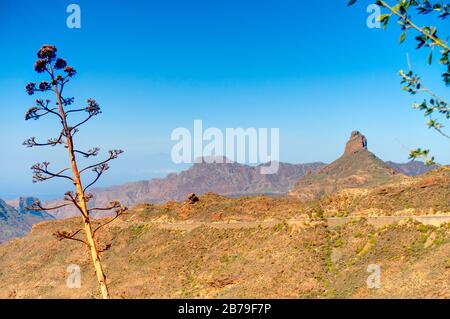 Grand Canary, vulkanische Landschaft Stockfoto