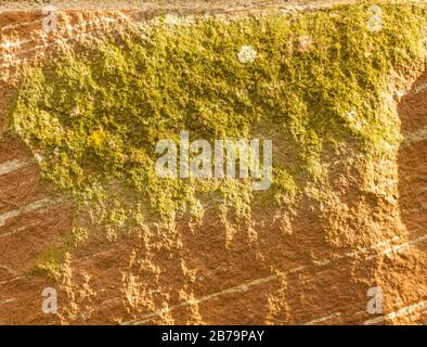 Steinmauern. Schöner und interessanter Hintergrund. Grober Aufbau. Mossy Stein. Alte Wand. Braun und Schwarz. Stockfoto