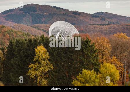 Effelsberg 100m Radioteleskop in den Bäumen Stockfoto