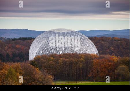 Effelsberg 100m Radioteleskop in den Bäumen Stockfoto