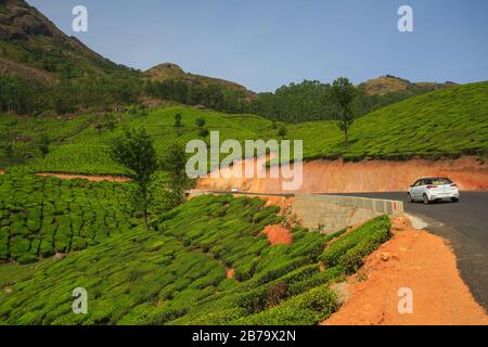 Kurvenreiche Straße entlang der wunderschönen Teeplantagen in den Hügeln von Munnar (Kerala, Indien) Stockfoto