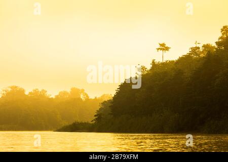 Früher Morgenaufgang auf dem Kinabatangan River im Regenwald des Sabah-Distrikts, Borneo, Malaysia Stockfoto