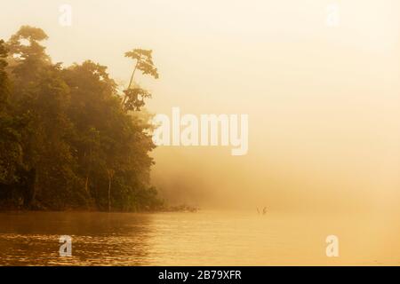 Früher Morgenaufgang auf dem Kinabatangan River im Regenwald des Sabah-Distrikts, Borneo, Malaysia Stockfoto