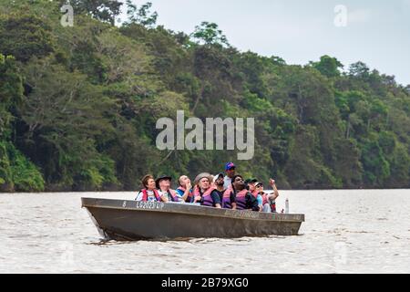 Touristen auf einem Flussboot auf dem Kinabatangan River, Sabah-Distrikt von Borneo auf einer Wildbeobachtung im Regenwald, Sabah, Borneo, Malaysia, Asien Stockfoto