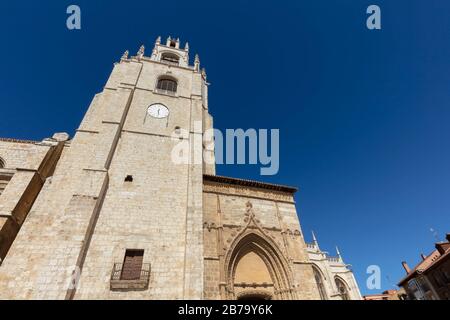 Kathedrale San Antolin, Palencia, Spanien. Stockfoto