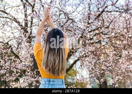 Rückansicht der jungen Frau, die den Frühlingsanfang genießt, gegen einen blühenden Obstbaum mit rosa Blumen im Park Stockfoto