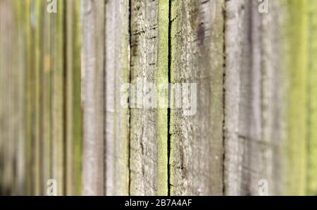 Zaunplatten Stockfoto