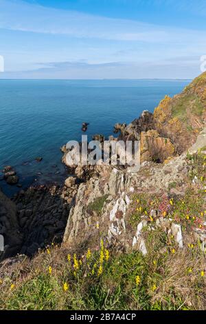 Klippen entlang des Solway Firth, in der Nähe von Brighouse Bay, Dumfries & Galloway, Schottland Stockfoto