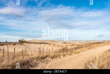 Strand am Two Mile Hollow Beach, East Hampton, NY Stockfoto