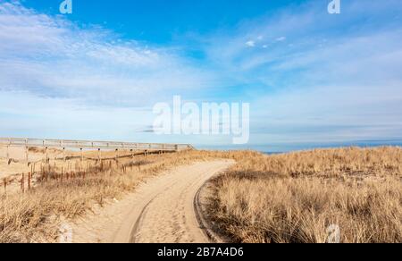 Strand am Two Mile Hollow Beach, East Hampton, NY Stockfoto