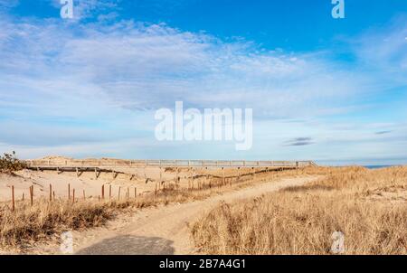 Strand am Two Mile Hollow Beach, East Hampton, NY Stockfoto