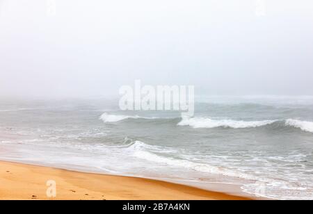 Surfen Sie an einem nebligen Tag in East Hampton, NY Stockfoto