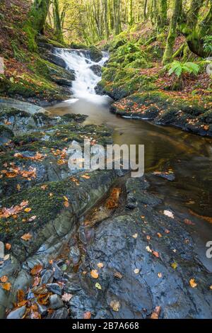 Kennick Burn, nahe Laurieston, Galloway Forest, Dumfries & Galloway, Schottland Stockfoto