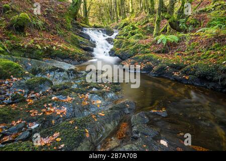 Kennick Burn, nahe Laurieston, Galloway Forest, Dumfries & Galloway, Schottland Stockfoto