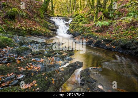 Kennick Burn, nahe Laurieston, Galloway Forest, Dumfries & Galloway, Schottland Stockfoto