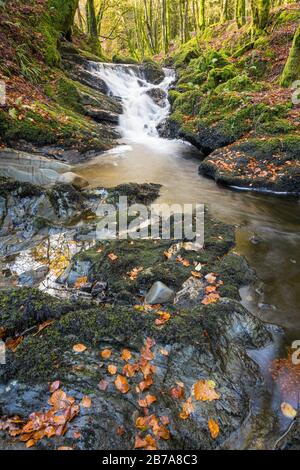 Kennick Burn, nahe Laurieston, Galloway Forest, Dumfries & Galloway, Schottland Stockfoto