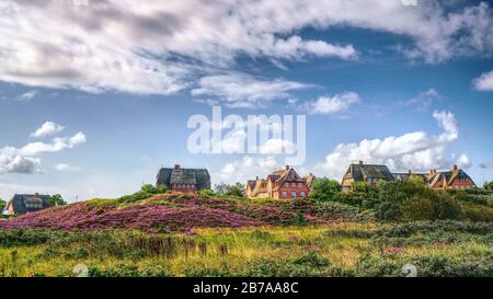 Blühende Heidekraut- und Reethäuser in den Dünen. Panorama-Landschaft auf der Insel Sylt, Nordfriesische Inseln, Deutschland. HDR Art Fotografie. Stockfoto